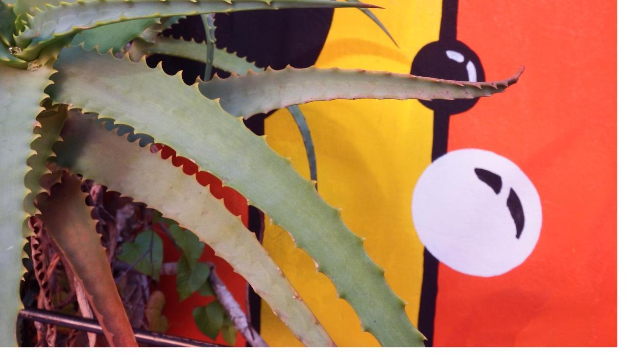 Hostel De Pichincha Gualeguaychú エクステリア 写真